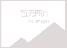 上海宝山忆山服务有限公司